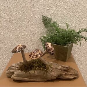 Driftwood Art, Driftwood & Seashell Mushroom Art, Mushroom Art, Coastal Art